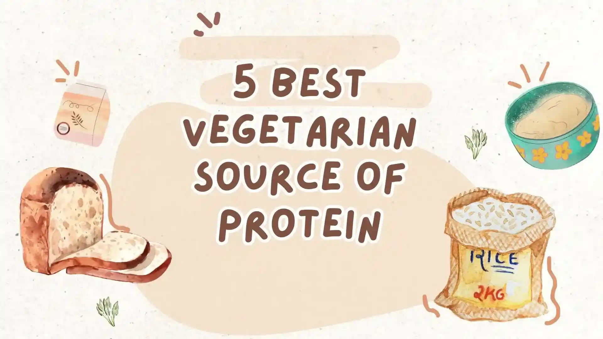 5 Best Vegetarian Source Of Protein